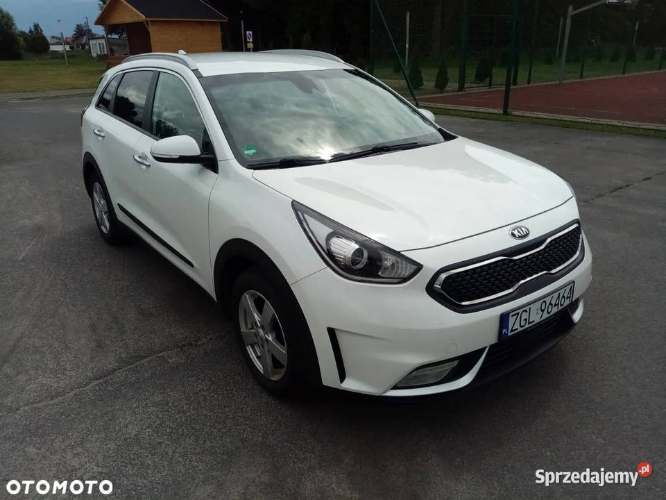 Kia Niro hybryda Goleniów