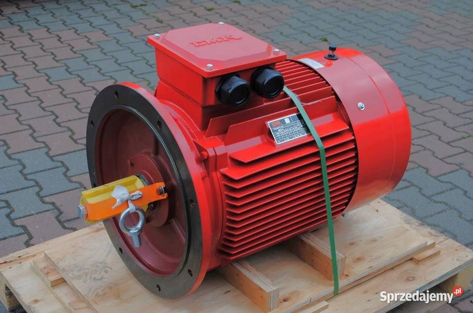 Silnik elektryczny kołnierzowy 55kw 1485obrmin lubuskie Kargowa