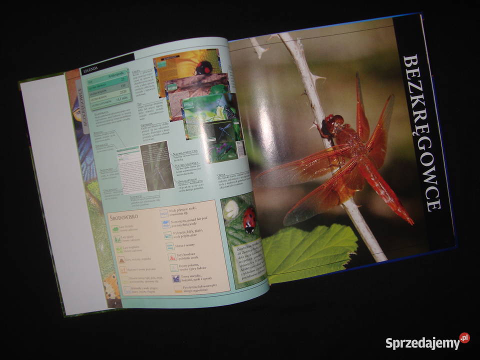 Album Bezkręgowce Stawonogi Owady z fotoopisem sprzedam