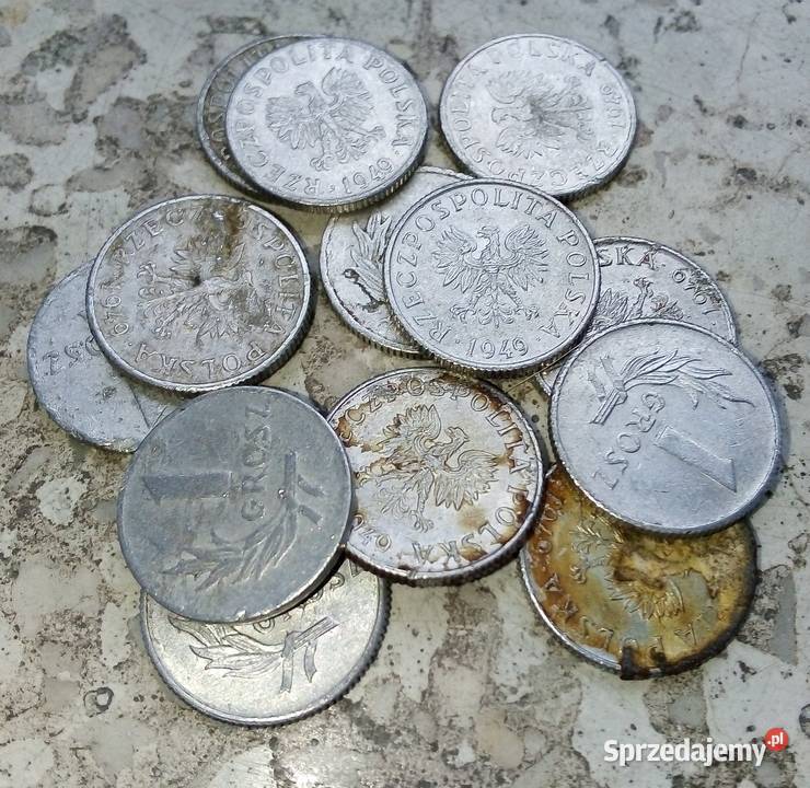 POLSKA 1 GROSZ 1949 rALbz12 SZTUK Legionowo
