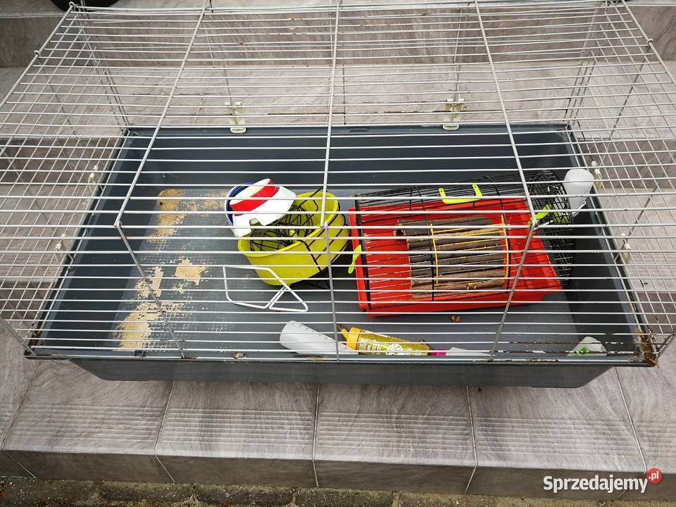 Klatka przeznaczona królika swinki morskiej zachodniopomorskie