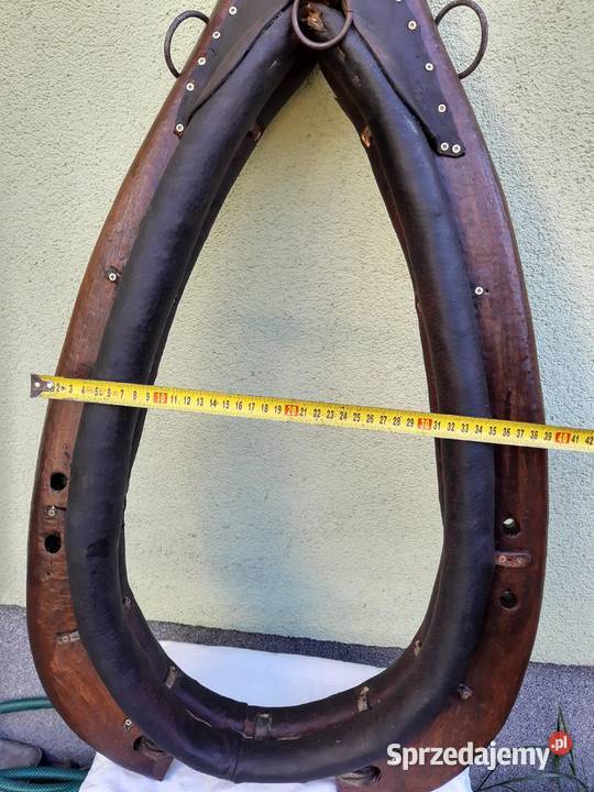 Zadbane chomąto krakowskie z podkładem Sułków