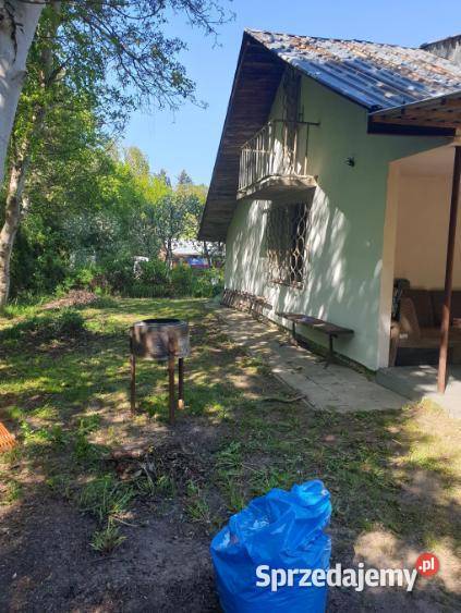 Działka z domkiem ROD przyjaźń Lublin Zalewem siatka