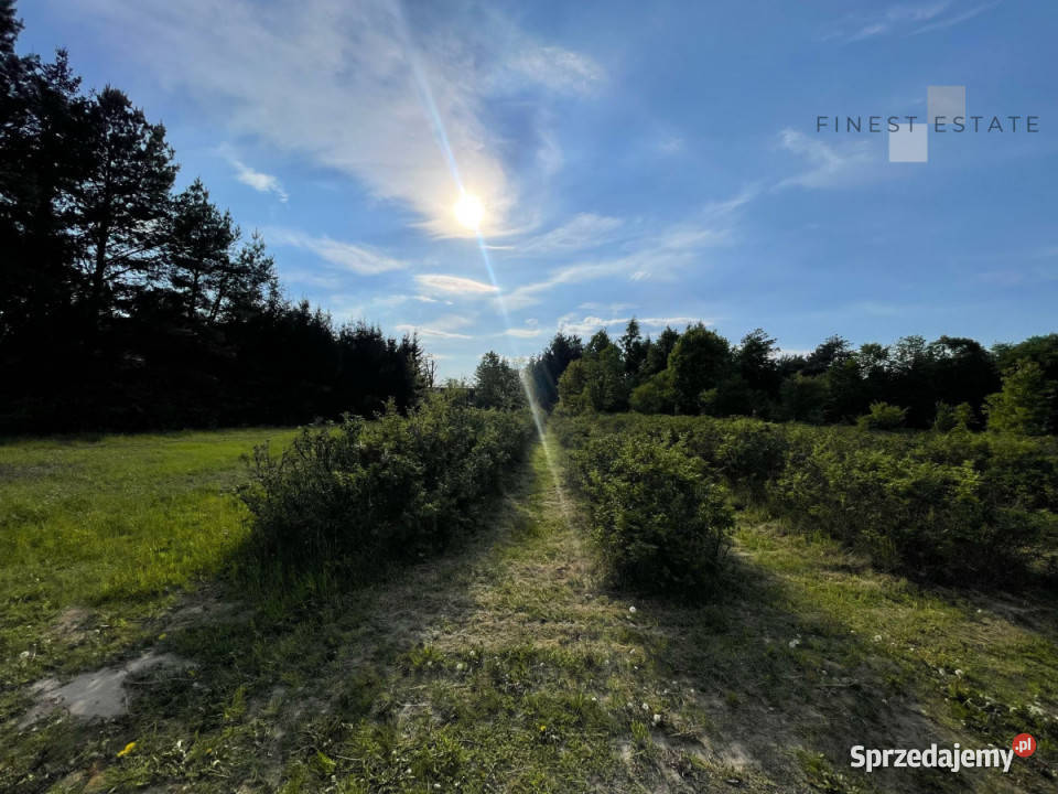 Grunt 1845 metrów Podkampinos Jagodowa 1845m2