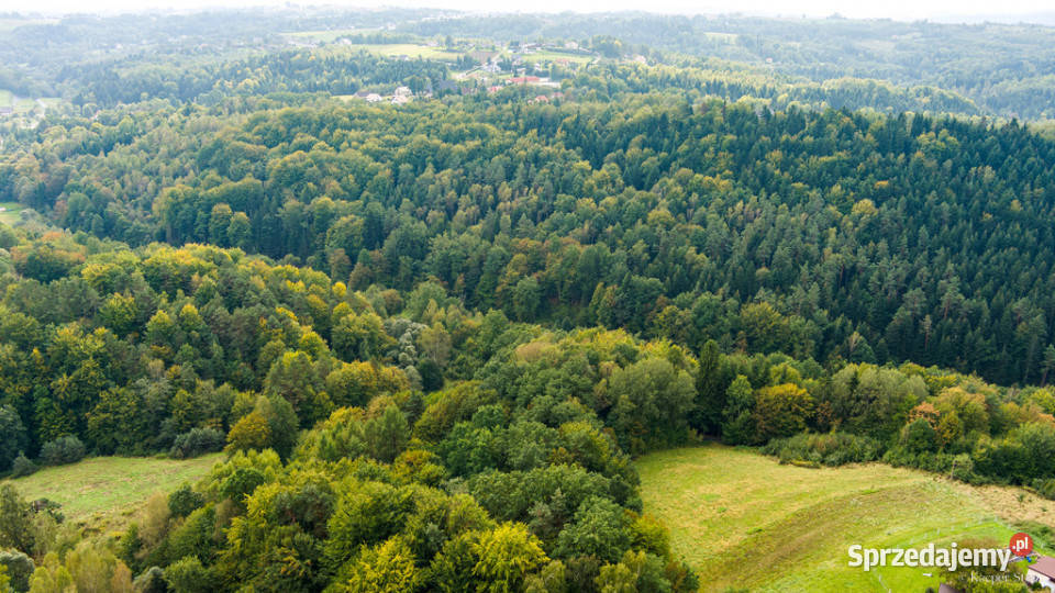 Działka rolnoleśna w Jodłówce Tuchowskiej małopolskie