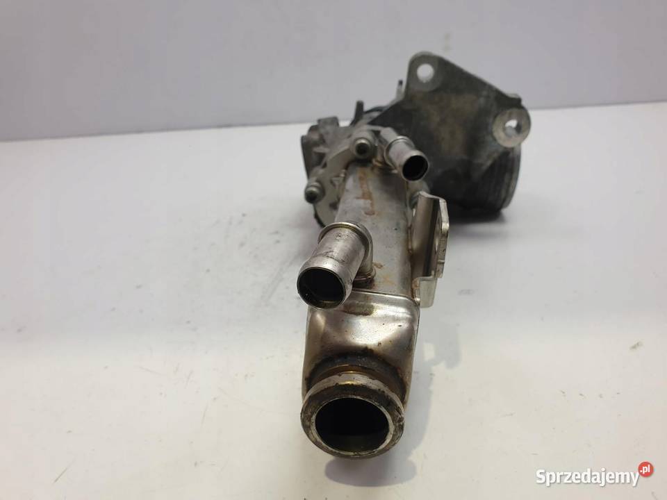 Volvo V70 III XC70 II 24 D5 ZAWÓR EGR Chłodnica Chełm