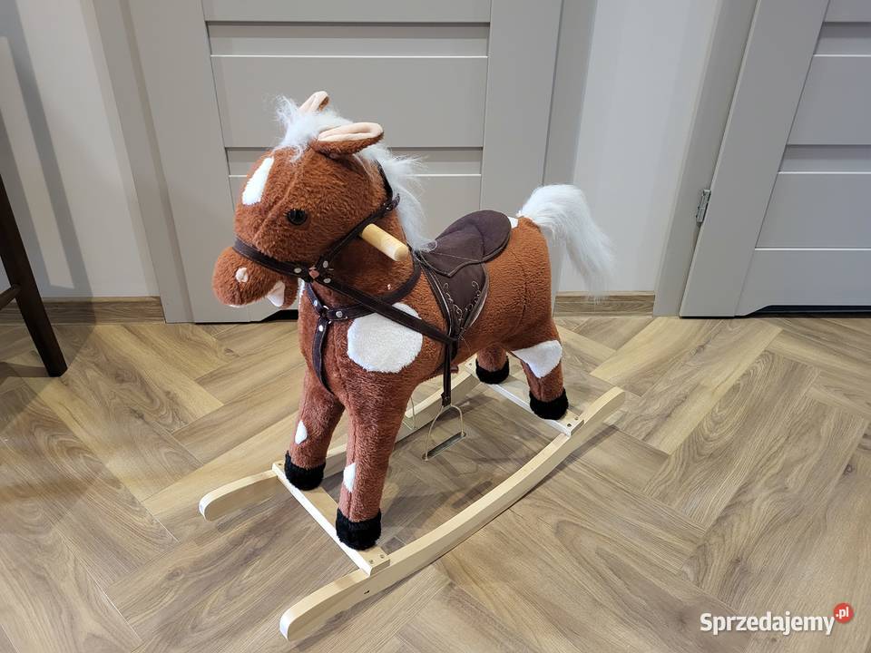 Konik na biegunach grający Postękalice