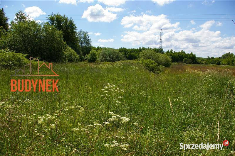 Działka rolna Jeżyce 8800m2