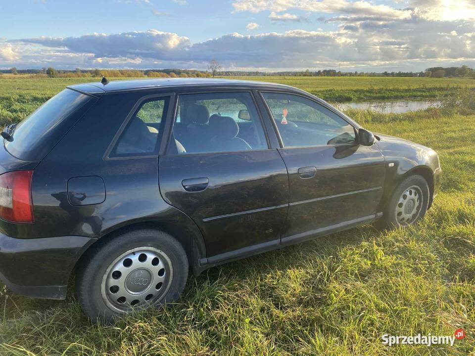 Sprzedam audi a3 polift 19 tdi 130 Grajewo