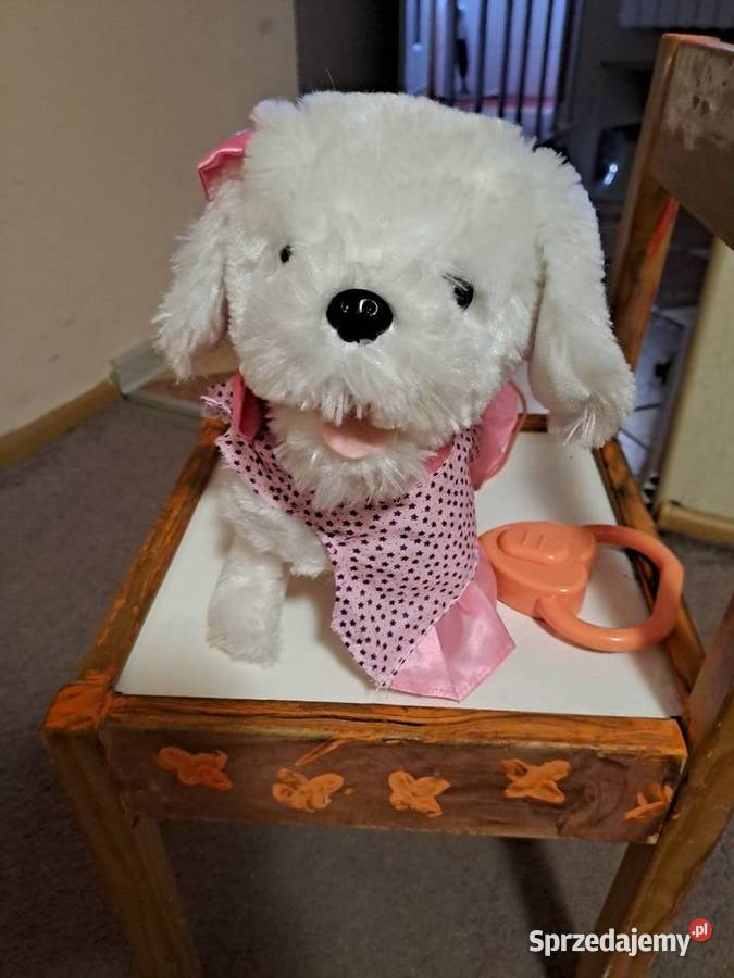 Piesek na baterie Sosnowiec