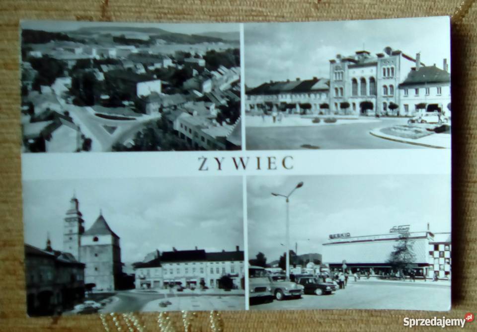 ŻYWIEC M IN URZĄD MIEJSKI I DOM HANDLOWY BESKID lubelskie Piszczac