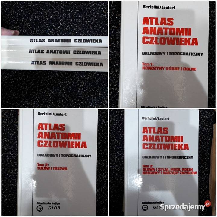 Atlas Anatomii człowieka tomy 1 2 3 Poznań