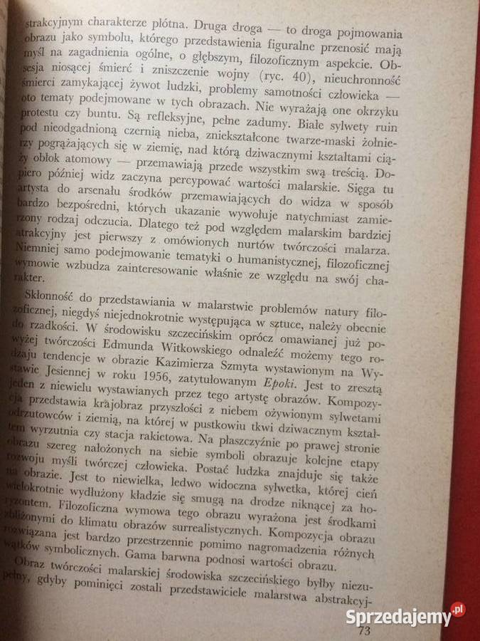 672 Plastyka Szczecińska W Latach 1945 1960 Antykwariat Szczecin