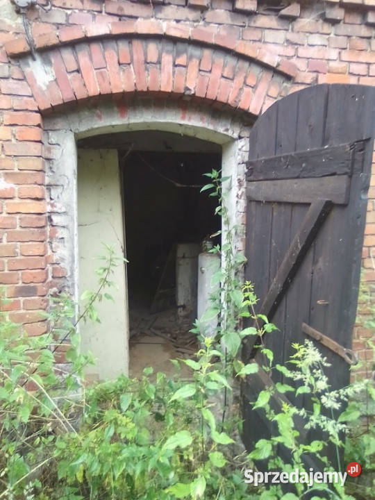 Kamieniczka z dawną Mleczarnią 3 mieszkania 3 piętra i więcej Twardawa