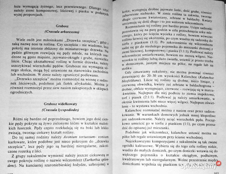 Rośliny ozdobne w mieszkaniu Krystyna Onitzchowa miękka