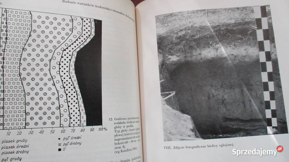 Wstęp do fitosocjologii praktycznej Łódź sprzedam