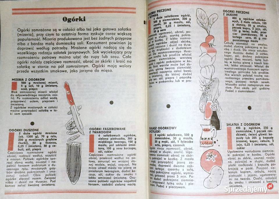 Mrożonkowe ABC Ludmiła Grudowa miękka Chełm