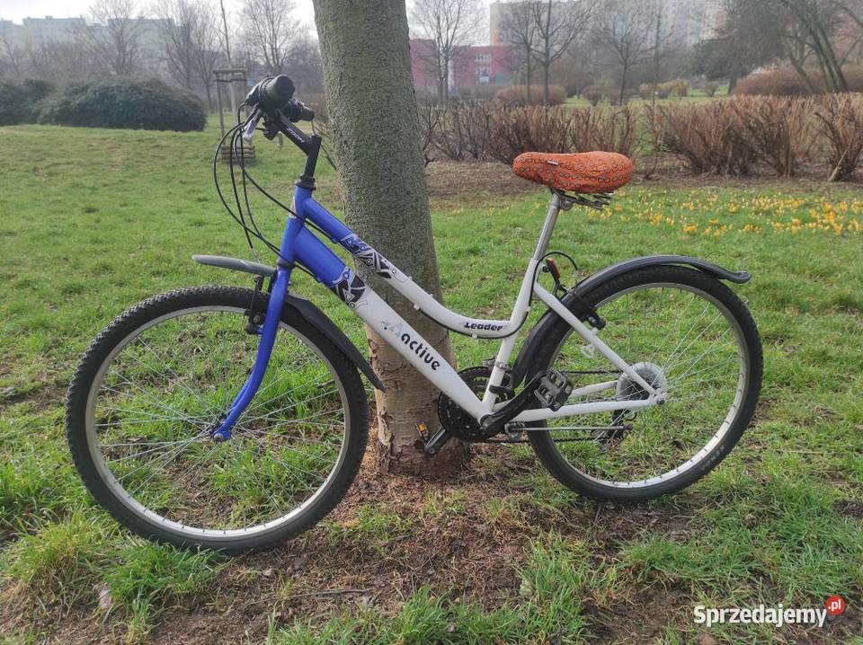 Rower miejski damka Active Leader koła 26