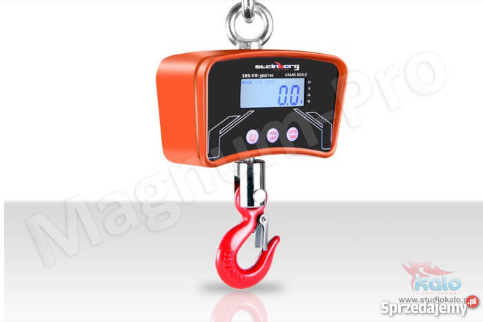 WAGA Hakowa 300 100g podwieszana dżwigowa śląskie Poczesna