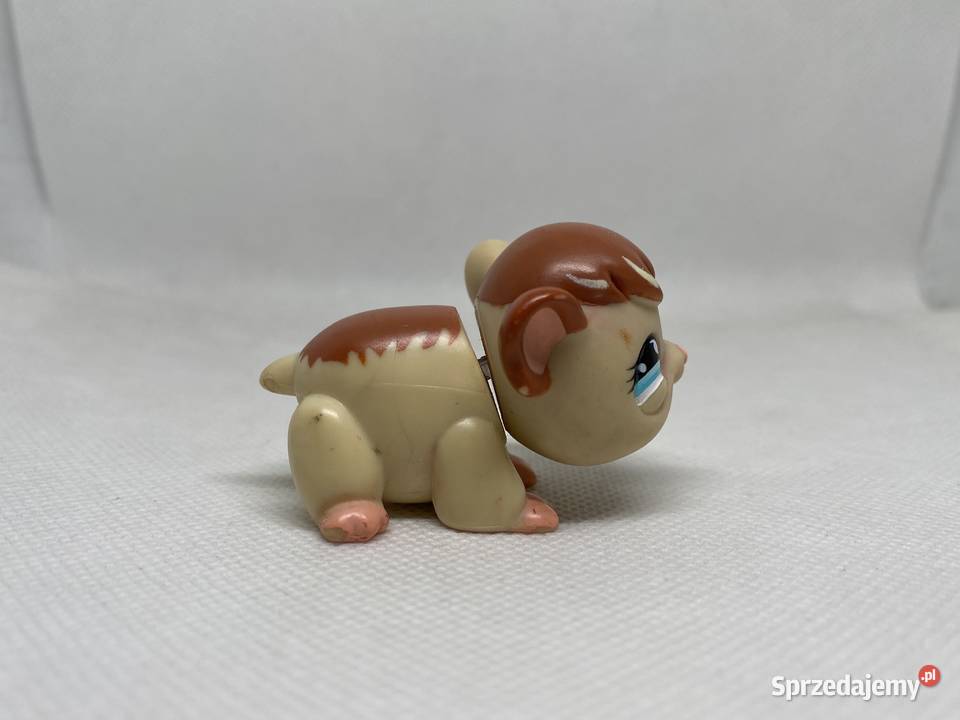 LPS Littlest pet shop świnka morska 683 sprzedam