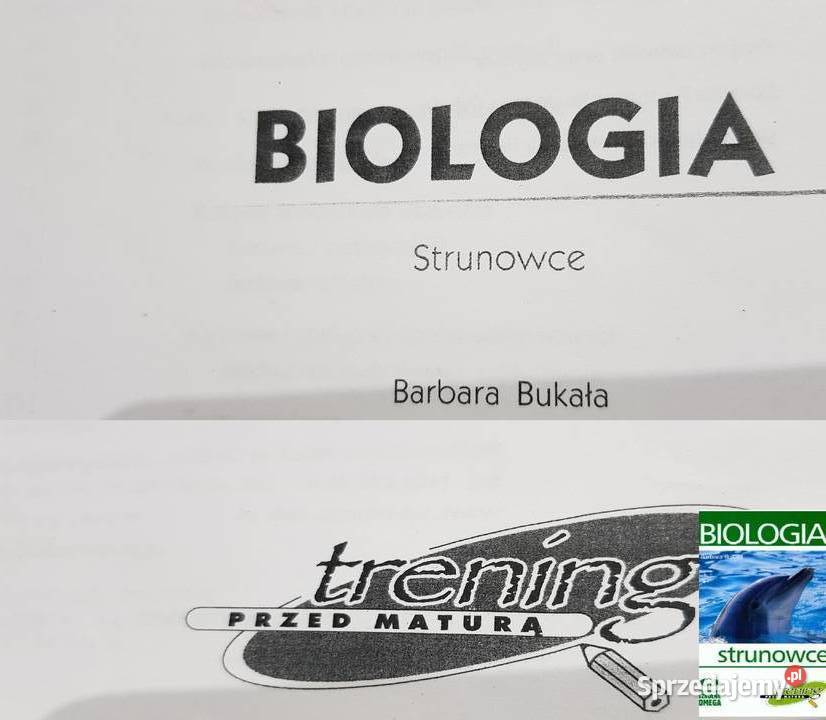 Biologia Bukała strunowce matura test nauka Kielce