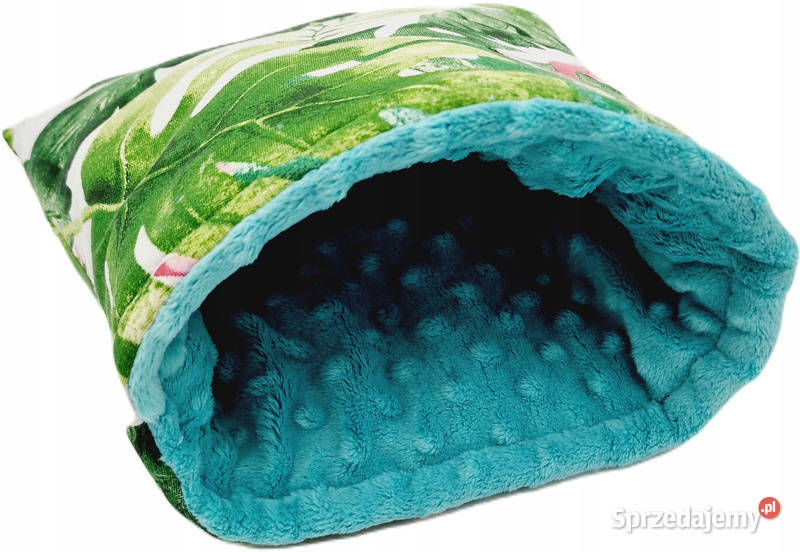 Świnka morska skinny samiczka z akcesoriami Koszalin