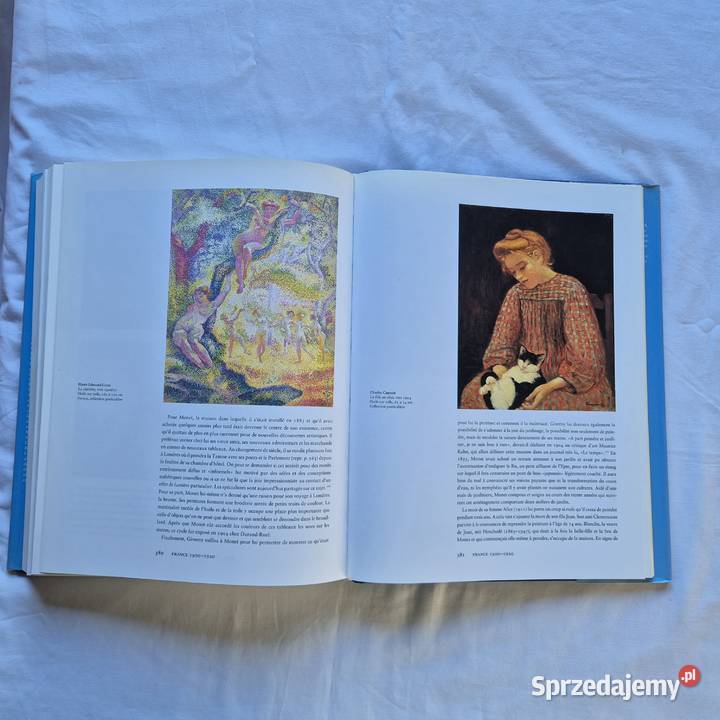 Impresjonizm we Francji piękny album w małopolskie Brzesko