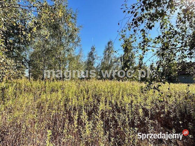 Duża działka na leśnym osiedlu w Miłoszycach Sprzedaż Miłoszyce