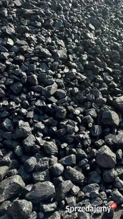Węgiel kamienny brunatny Dom i Ogród Wadowice