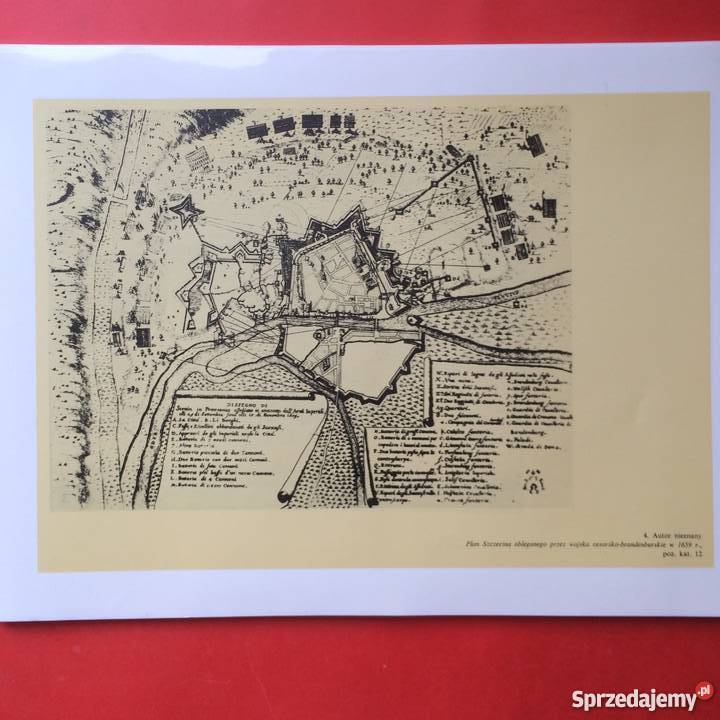 890 Grafika i Rysunki Szczecina sprzedam