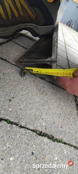 Teownik goracowalcowany Przecławice