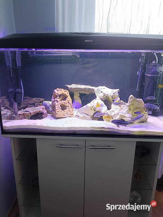 Sprzedam akwarium wielkopolskie Poznań sprzedam