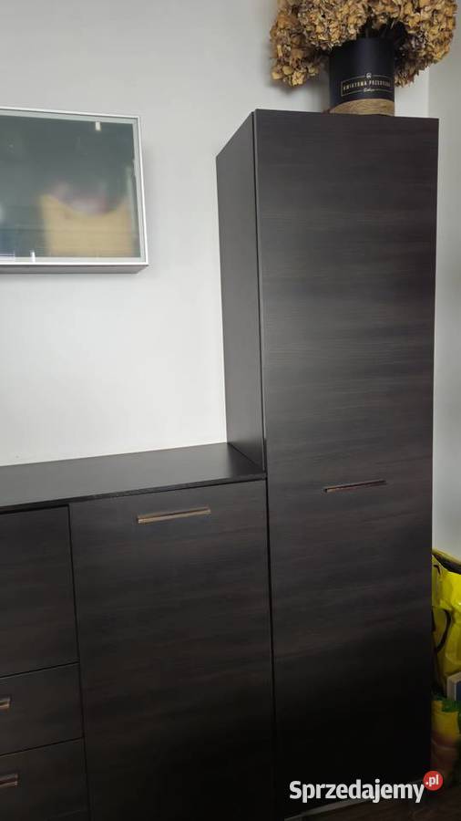 Meble do salonu Black Red WhiteWenge wielkopolskie Poznań
