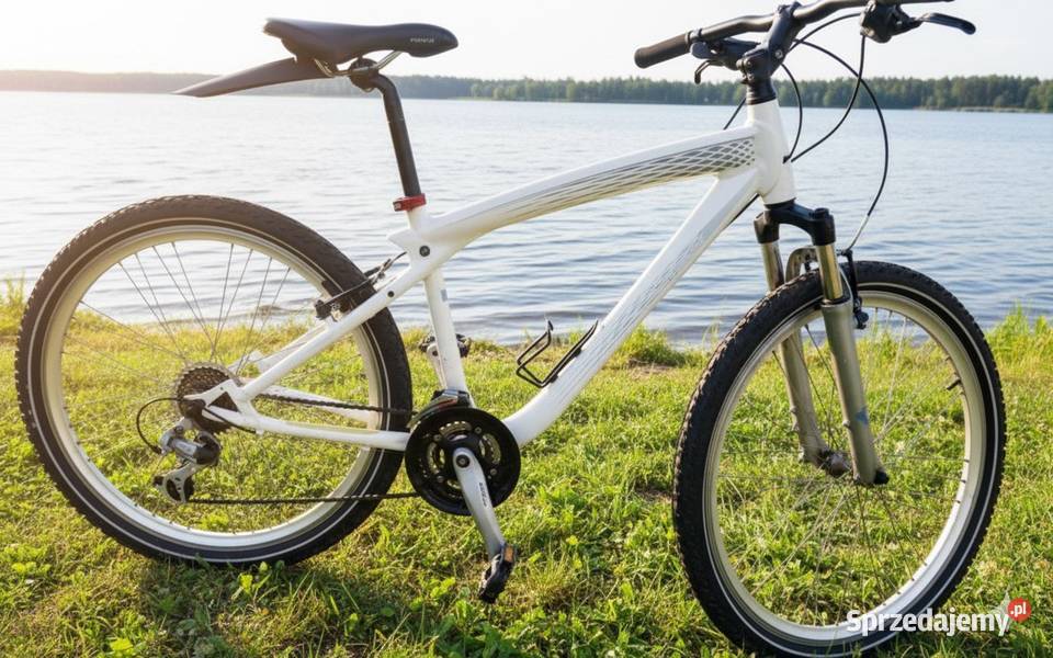 Rower BMW oryginalny cruiser Warszawa Kraków Kętrzyn