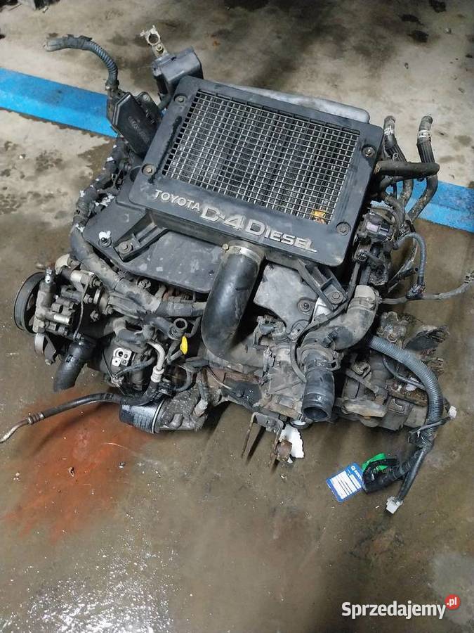 Silnik skrzynia turbina egr alternator wtryski Rok produkcji 2005 Wola Jachowa sprzedam
