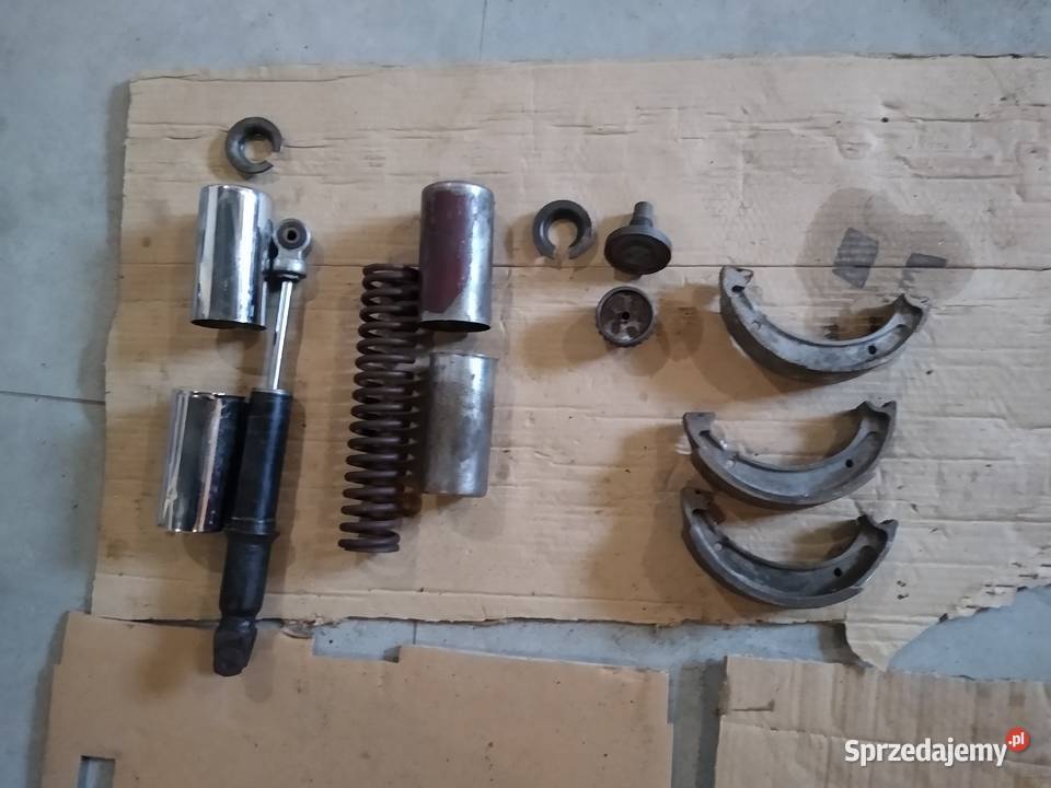 Wfm osa pozostalosc kujawsko-pomorskie Kruszwica