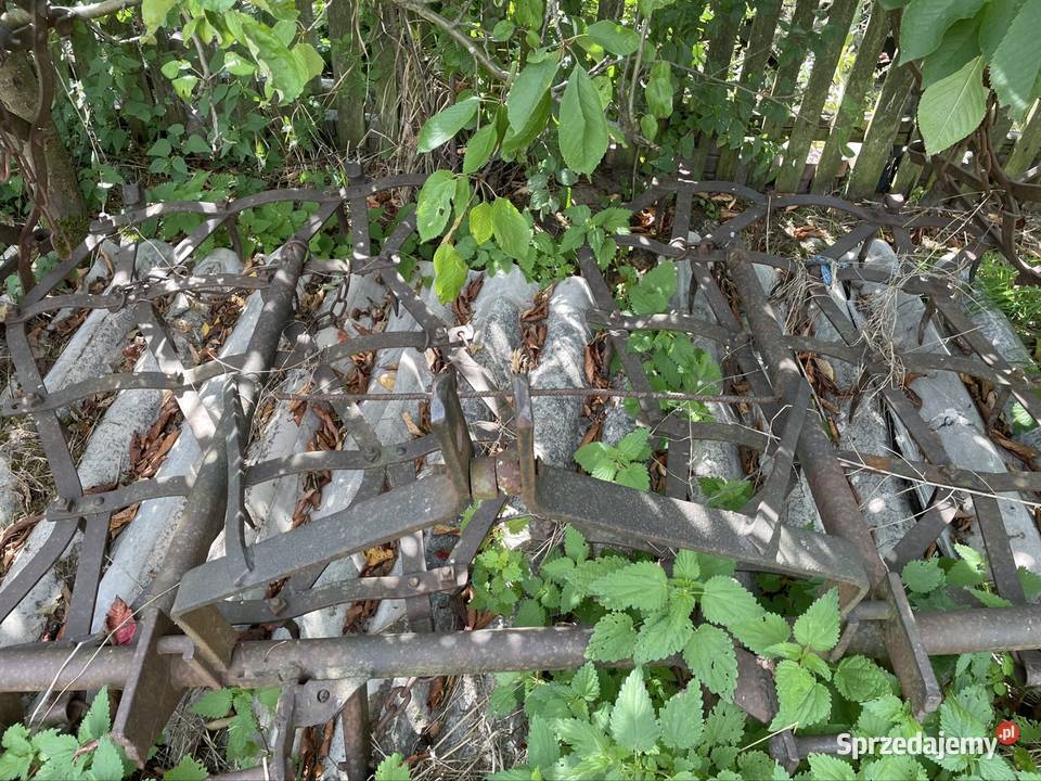 Brony połowę ciężkie 5 Siedlików