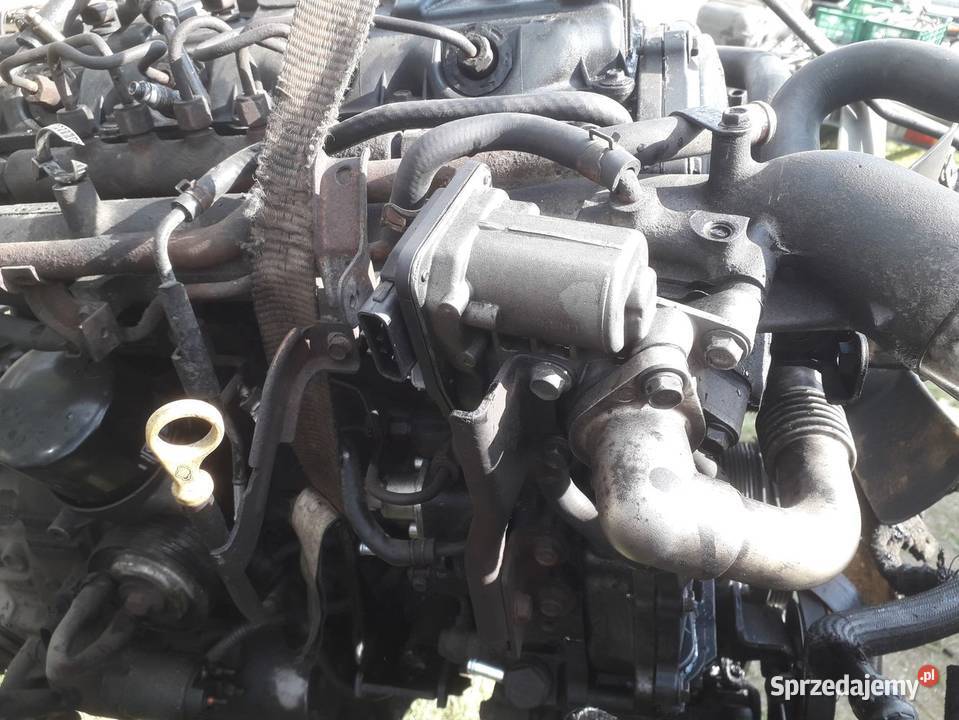 Nissan Cabstar RENAULT MAXITY 25 130DXI 25YD Złoczew