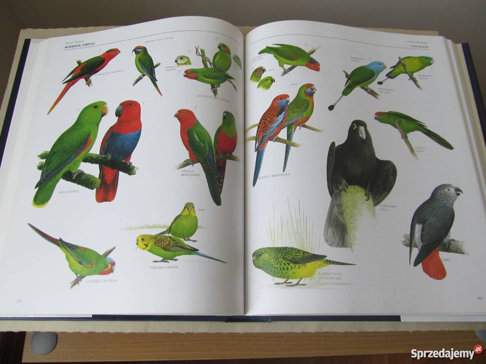 WIELKA ENCYKLOPEDIA PTAKÓW Perrins ChM lubuskie Zielona Góra sprzedam