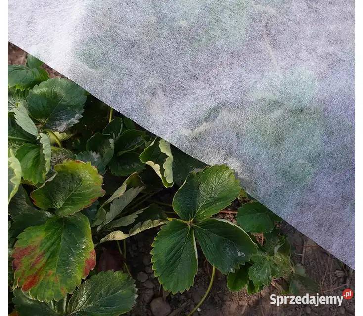 Agrowłóknina POLSKA Włóknina okryciowa 425m Cieśle
