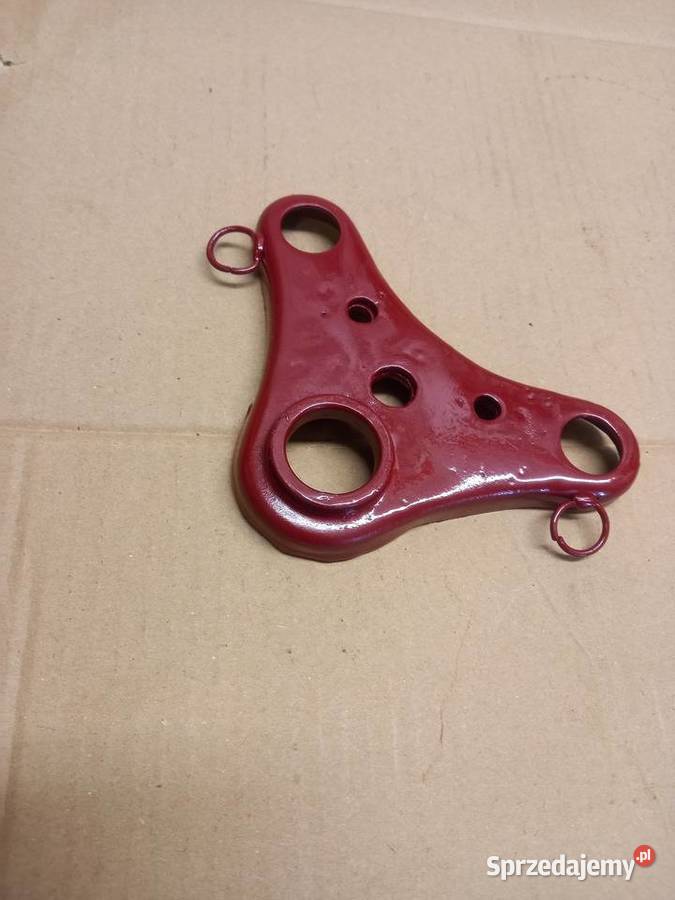 Polka zak rys mazowieckie