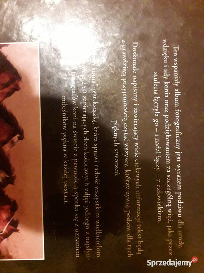 Nicola Jane SwinneyPiękno konia Warszawa