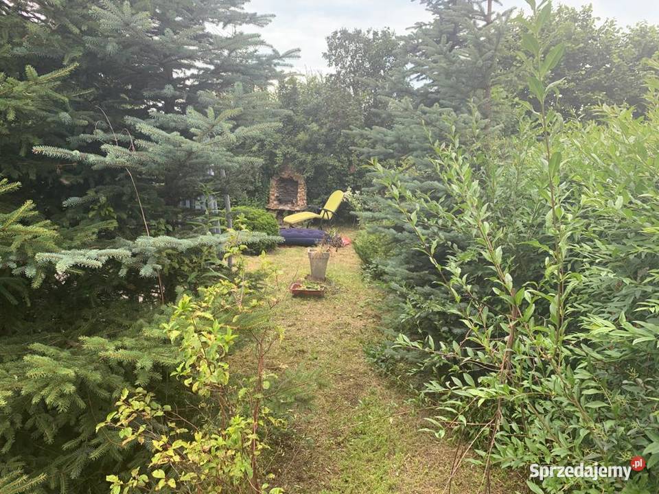 Ogródek działkowy ROD Miejski w Czeladzi Grunty i działki Czeladź