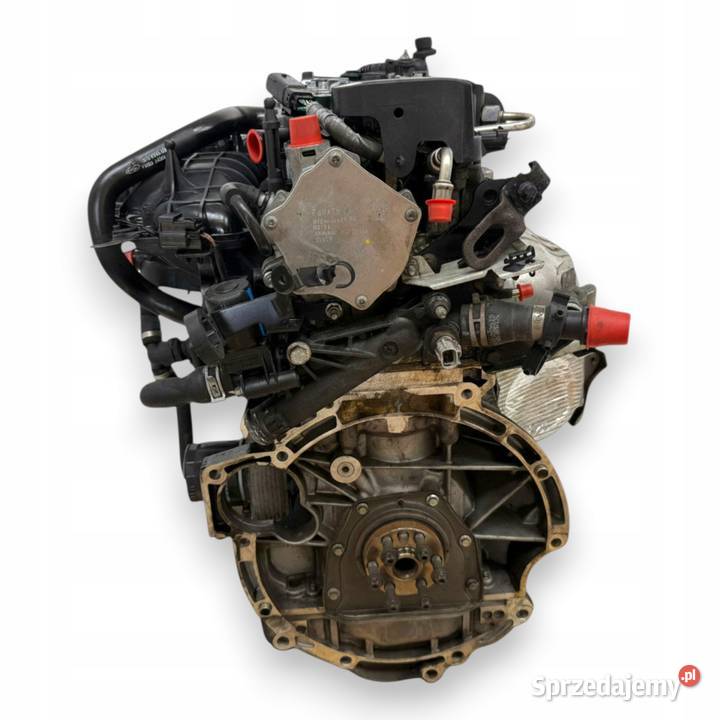 SILNIK JQDB Ford Focus III MK3 C 16 EcoBoost T Chełm