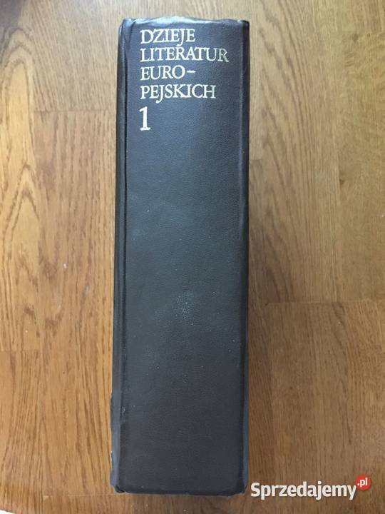 Dzieje literatur europejskich red Władysław Warszawa