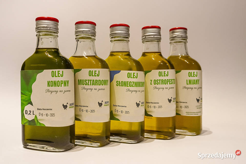 Olej z pestek dyni 200 ml świeżo tłoczony w Wojsławice