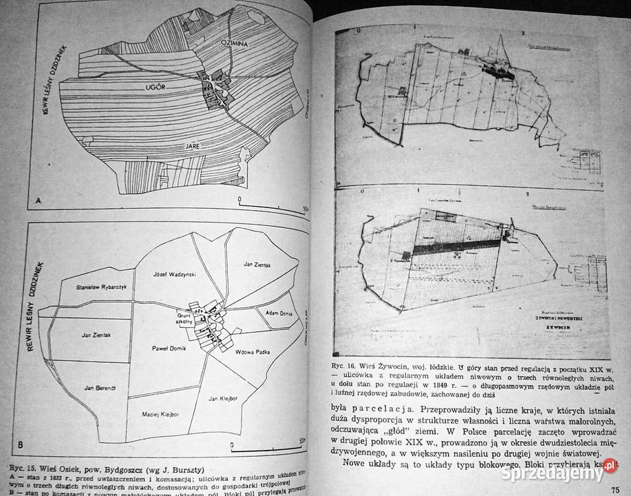 Geografia osadnictwa Zarys problematyki Maria Chełm
