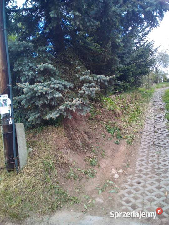 Budowlana Poreba śląskie