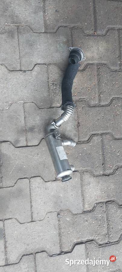 Chłodnica spalin 9646762280 Ford Citron 16 tdci osobowe zachodniopomorskie Szczecin