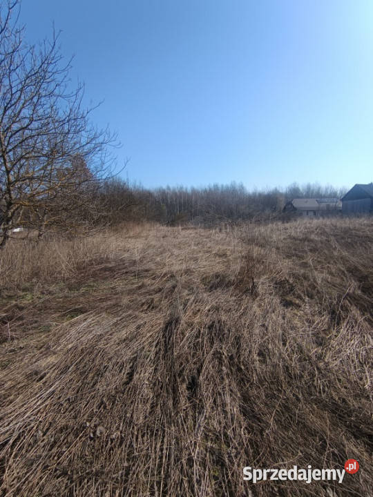 Syndyk sprzeda nieruchomość gruntowa Sprzedaż